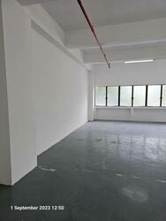 Perfect One (D13), Factory #577728901